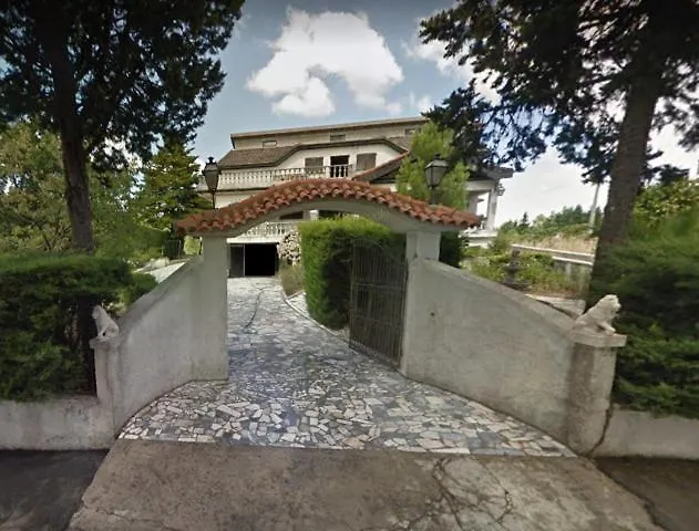 Pinheirinhos - Quinta De Sao Caetano