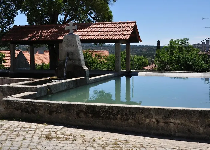 Pinheirinhos - Quinta De Sao Caetano