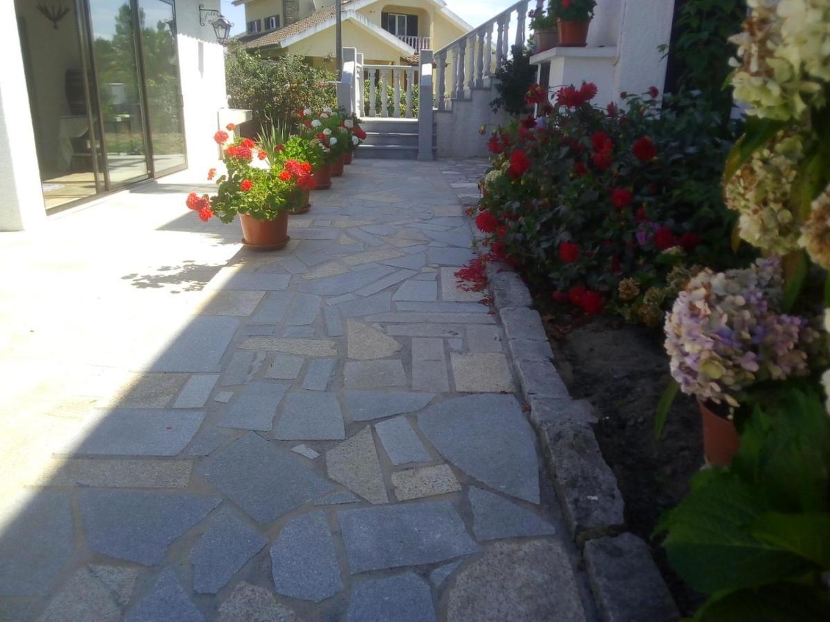 Pinheirinhos - Quinta De Sao Caetano Farm stay *