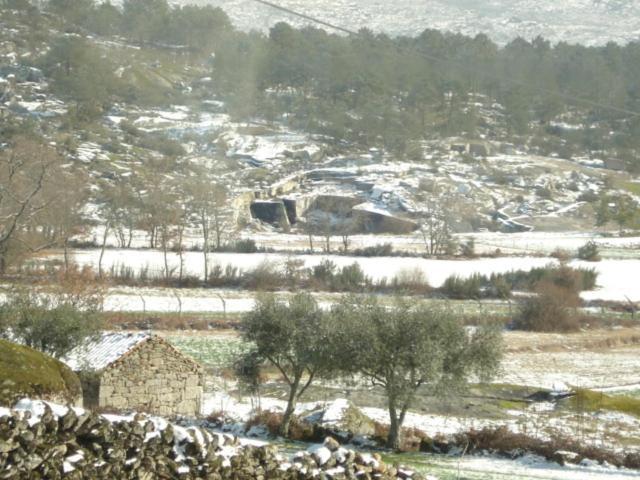 Pinheirinhos - Quinta De Sao Caetano Farm stay *