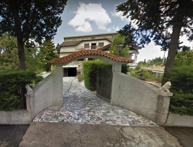 Pinheirinhos - Quinta De Sao Caetano