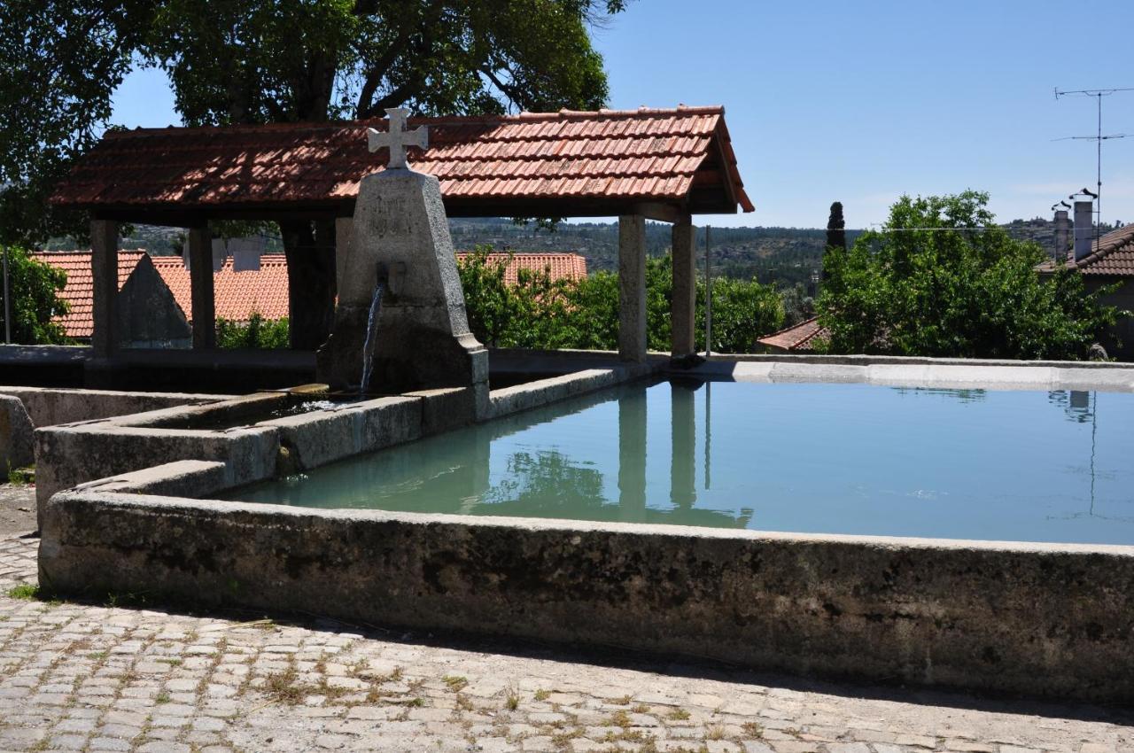 Pinheirinhos - Quinta De Sao Caetano