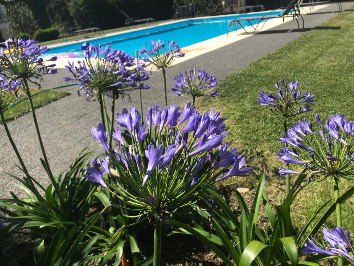 Pinheirinhos - Quinta De Sao Caetano * Carapito