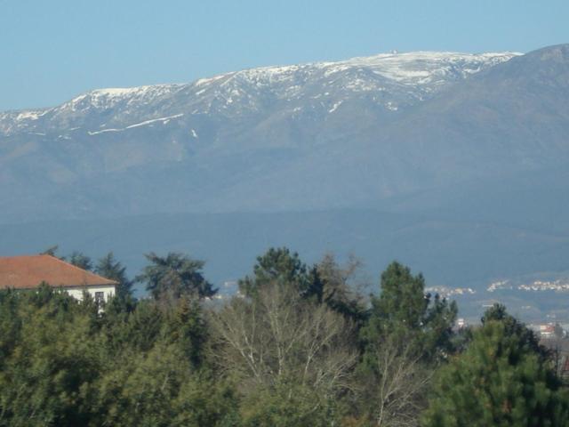 Farm stay Pinheirinhos - Quinta De Sao Caetano