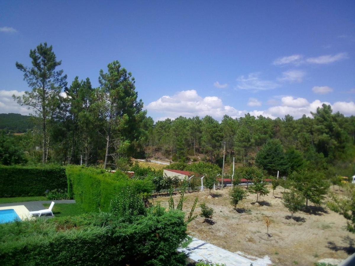 Pinheirinhos - Quinta De Sao Caetano Carapito