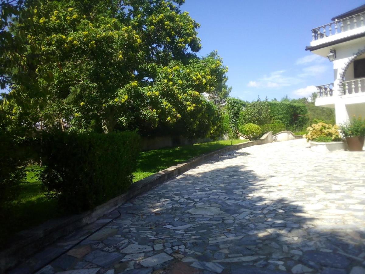 Pinheirinhos - Quinta De Sao Caetano *