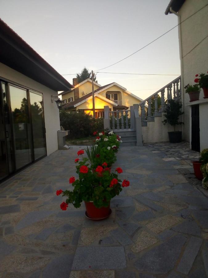 Pinheirinhos - Quinta De Sao Caetano Carapito